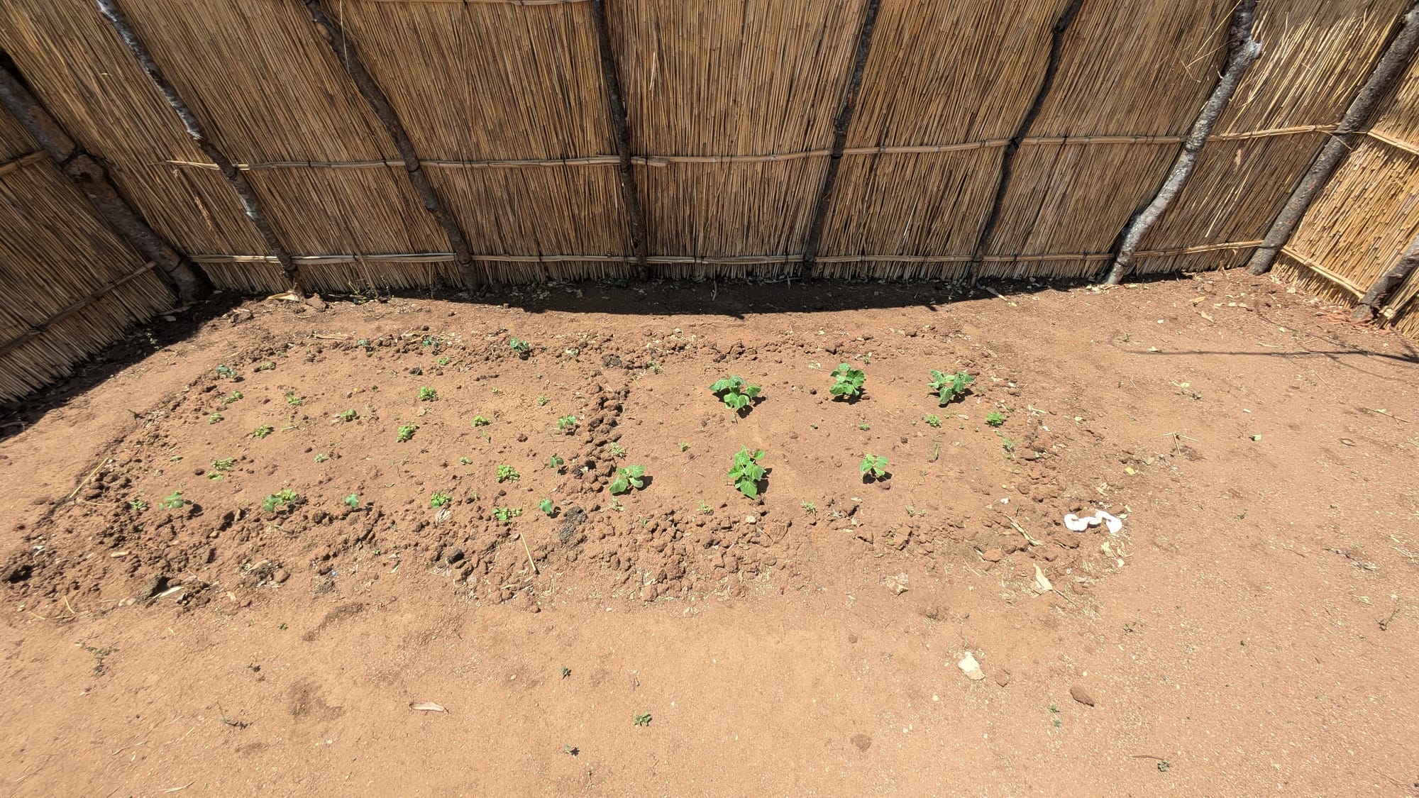 Celebrating 100 Days In Malawi