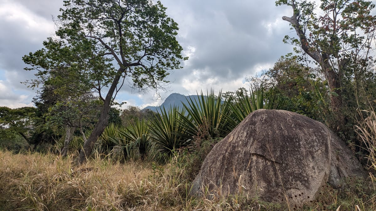 Celebrating 100 Days In Malawi